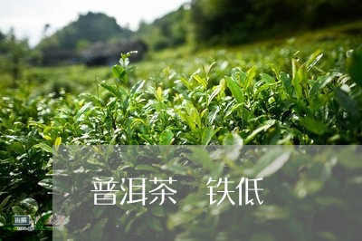 普洱茶 铁低/2023042855505